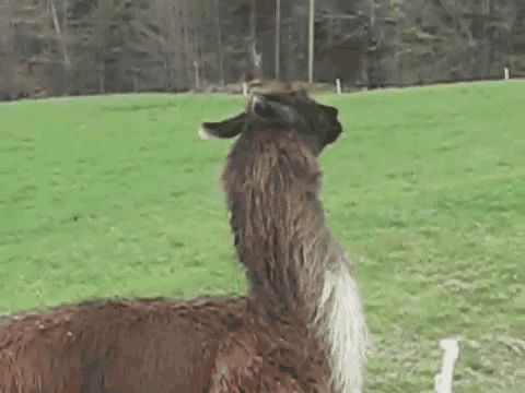 This was literally me when I got out of teaching, right down to the leaping.