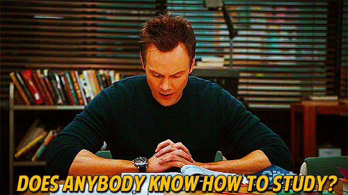 Does anybody know how to study?